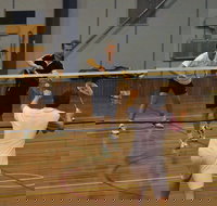 Charlton Badminton Club Ladies Tournament - Pubs Melbourne