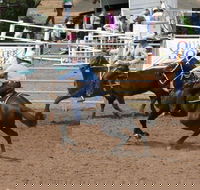 Dalgety Team Penning - Pubs Melbourne