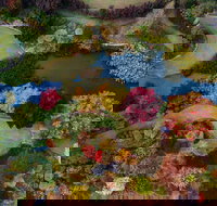 Glenrock Gardens Open Garden - Pubs Melbourne