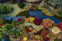 Glenrock Gardens Open Garden