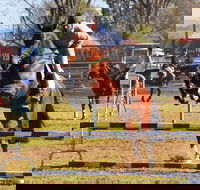 Glen Innes Pastoral and Agricultural Show - Pubs Melbourne