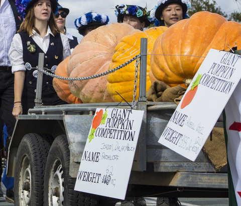 Goomeri Pumpkin Festival - Pubs Melbourne 2