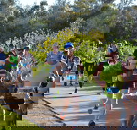 Husky Half Running Festival - Pubs Melbourne