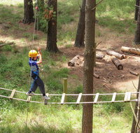 July 2020 Holidays- Go Wild at the Mt Lofty Adventure Hub - Pubs Melbourne