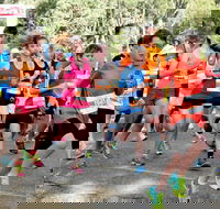 MAAS Group Dubbo Stampede Running Festival - Pubs Melbourne