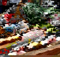 Manjimup Farmers Market - Pubs Melbourne