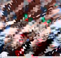 Mount Druitt Christmas Light Up Concert - Pubs Melbourne