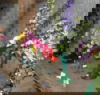 Neville Show - Pubs Melbourne