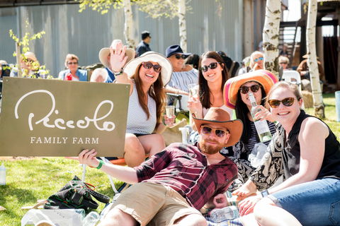 Owen Toyota Murrumbidgee Music Festival - Pubs Melbourne 1
