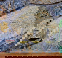 Peter Teakle Wines - Pubs Melbourne