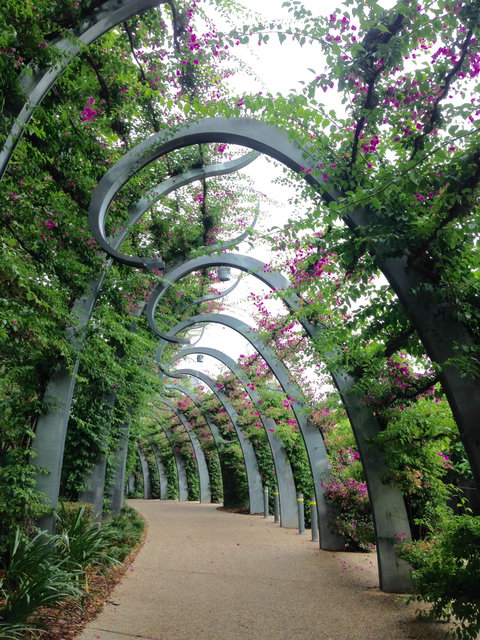 Photography Class / Tour Of Brisbane - Pubs Melbourne 0