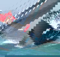 SeaLink Magnetic Island Race Week - Pubs Melbourne