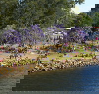 Shoalhaven River Festival - Pubs Melbourne