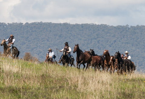 The Man From Snowy River Bush Festival - Pubs Melbourne 1