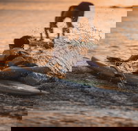 The Bay Games - Jervis Bay - Pubs Melbourne