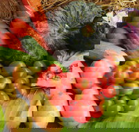 The Entrance Market - Pubs Melbourne