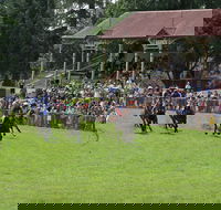Tumut Boxing Day Races - Pubs Melbourne