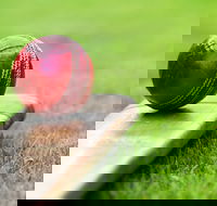 Under 13 14 15 Cricket Youth Championships - Pubs Melbourne