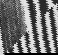 WA Now  Tom Mller Monolith Scores - Pubs Melbourne