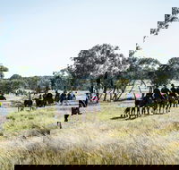 Weddin Mountain Muster - Pubs Melbourne