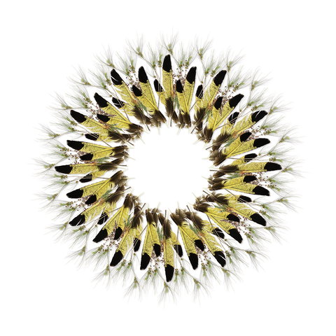 Adelaide Parklands Art Prize  Finalists Exhibition & Sale 2020 - Pubs Melbourne 1