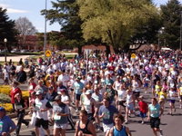 Bathurst Edgell Jog