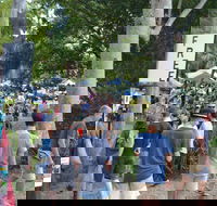 Bellingen Community Markets - Pubs Melbourne