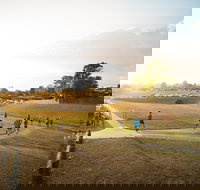 Campbelltown ParkRun - Pubs Melbourne