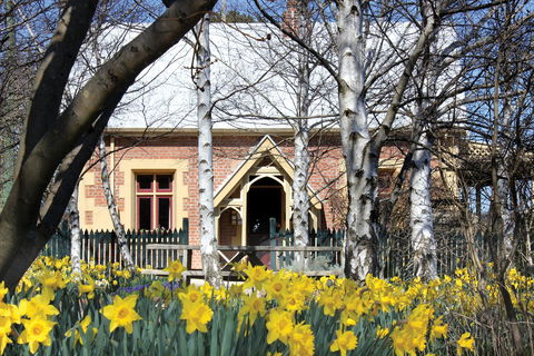 Daffodils At Rydal - Pubs Melbourne 0