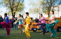 Griffith Spring Fest -  Multicultural Festival