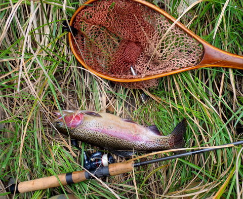 Guyra TroutFest - Pubs Melbourne 0