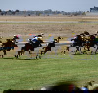 Jerilderie Gold Cup Races - Pubs Melbourne