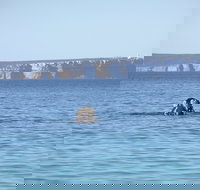 Jervis Bay's Sydney to Hobart Experience - Pubs Melbourne