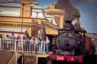 Junee Rhythm n Rail Festival