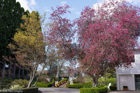 Leura Gardens Festival - Cancelled - Pubs Melbourne 0
