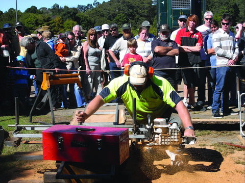Maleny Wood Expo: From Seed To Fine Furniture - Pubs Melbourne 2
