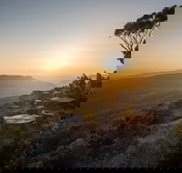 Photowalk with Jon Harris Photography - Nature Photography - Pubs Melbourne