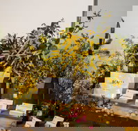 Pomonal Native Flower Show - Pubs Melbourne