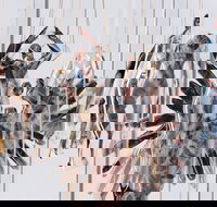Pulse Perspectives - Virtual Exhibition - Pubs Melbourne