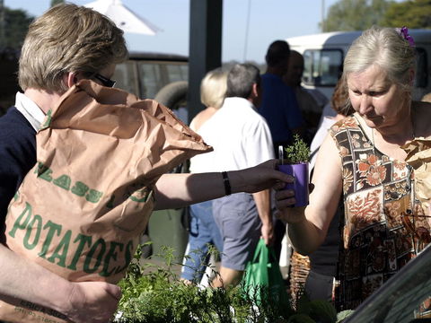 Sale  Producers Market - Pubs Melbourne 0