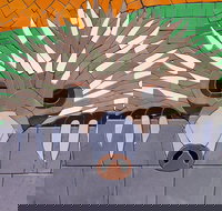 SALA 2020 - Colour Our World - Pubs Melbourne