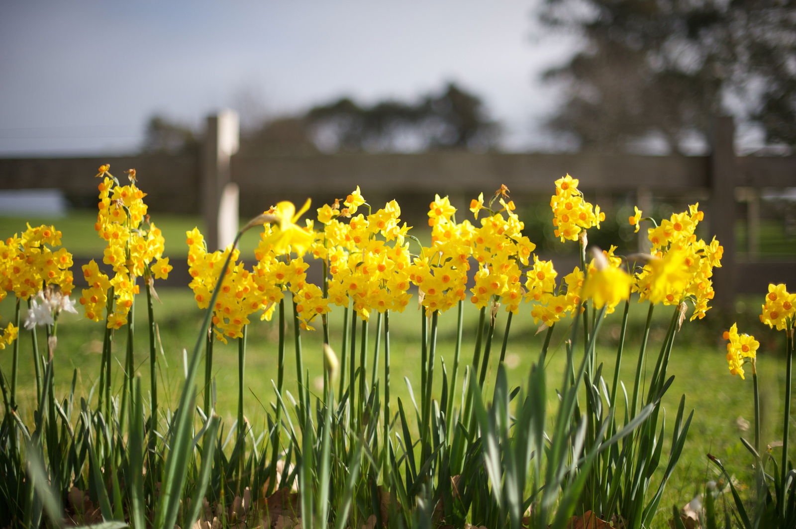 Langwarrin VIC Pubs Melbourne