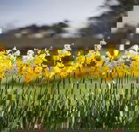 Sunday at Cruden Farm - Pubs Melbourne