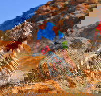 The Redback - Pubs Melbourne