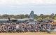 Warbirds Downunder Airshow- Postponed - thumb 2