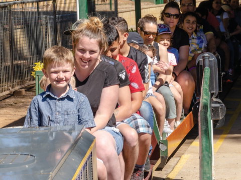 Willans Hill Miniature Railway Rides: Open Days - Pubs Melbourne 0