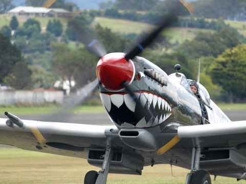 Wings Over Illawarra - Pubs Melbourne 0