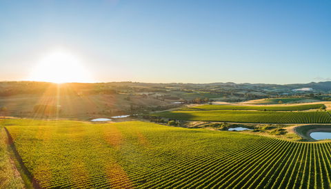 Wine And Food At Altitude - Pubs Melbourne 0