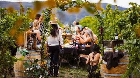 Wine Machine - NEW DATE - Pubs Melbourne 1