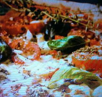 Alfio's Pizzeria - Pubs Melbourne